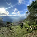Quinta Do Rio Douro - Semesterbostad