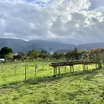 Quinta Do Rio Douro - *
