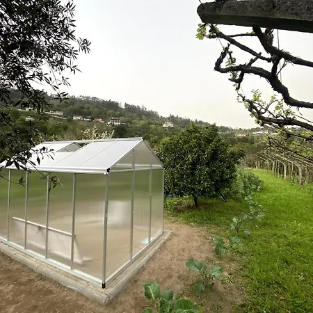 Vakantiehuis Quinta Do Rio Douro - Pacos De Gaiolo, Porto