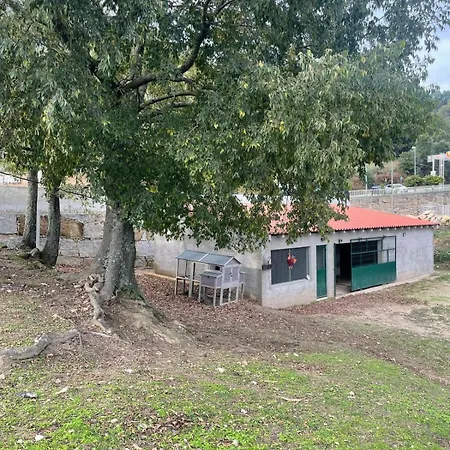 Quinta Do Rio Douro - Pacos De Gaiolo, Porto