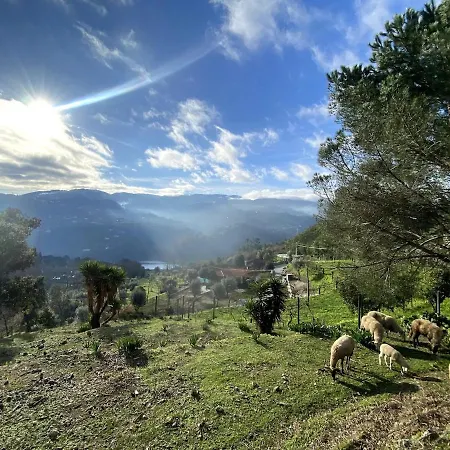 Quinta Do Rio Douro - Pacos De Gaiolo, Porto Dom wakacyjny Pacos de Gaiolo
