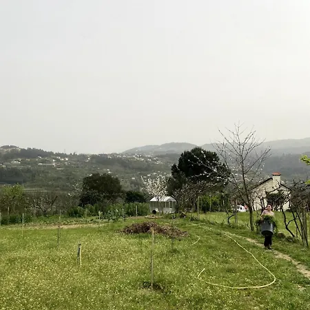 Quinta Do Rio Douro - Pacos De Gaiolo, Porto Pacos de Gaiolo