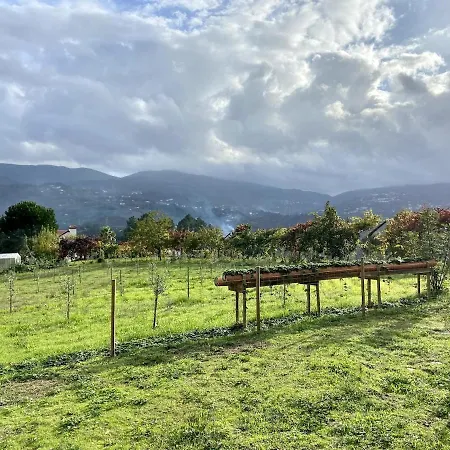 Quinta Do Rio Douro - Pacos De Gaiolo, Porto Vakantiehuis