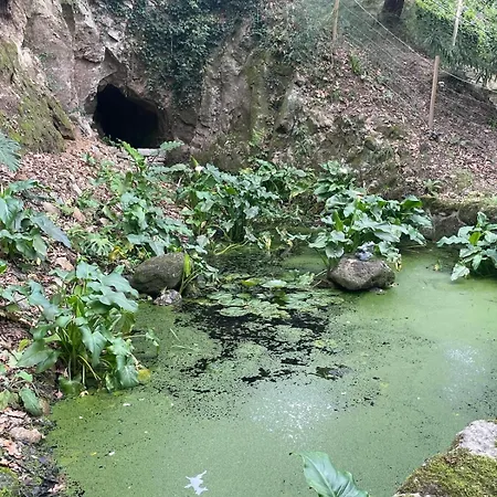 Vakantiehuis Quinta Do Rio Douro - Pacos De Gaiolo, Porto *