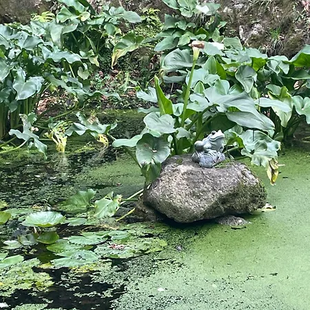 Quinta Do Rio Douro - Pacos De Gaiolo, Porto *