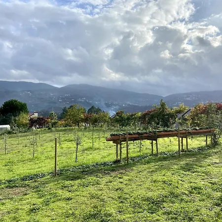 Quinta Do Rio Douro - Pacos De Gaiolo, Porto Pacos de Gaiolo
