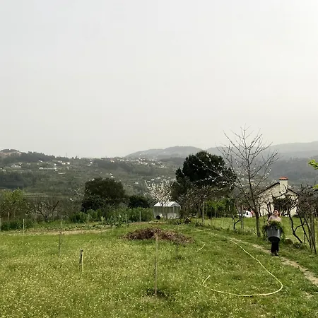 Quinta Do Rio Douro - Pacos De Gaiolo, Porto Vakantiehuis Pacos de Gaiolo