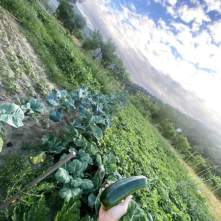 Quinta Do Rio Douro - Pacos De Gaiolo, Porto Pacos de Gaiolo