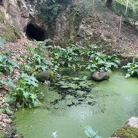 Quinta Do Rio Douro - Pacos De Gaiolo, Porto Vakantiehuis Pacos de Gaiolo