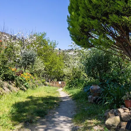 Quinta Do Rio Douro - * Pacos de Gaiolo