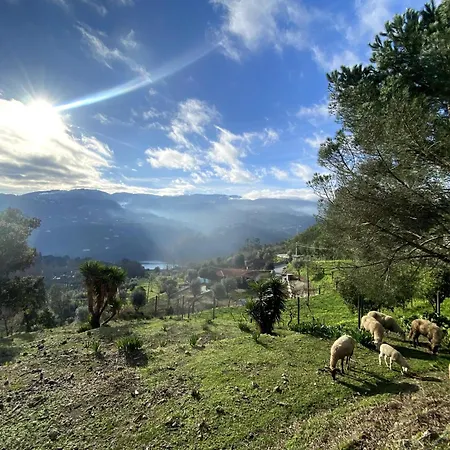 Quinta Do Rio Douro - Prázdninový dům