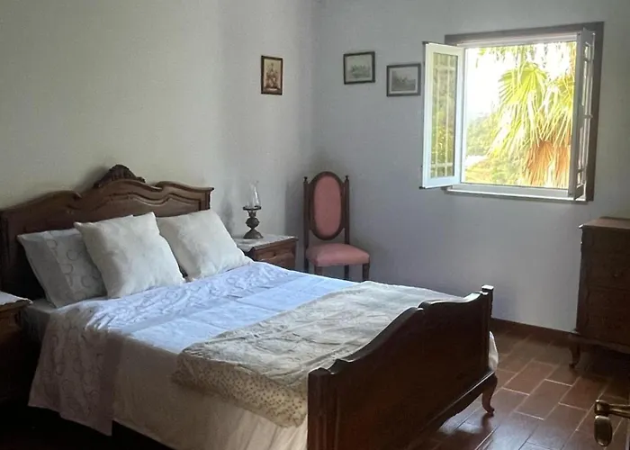 Quinta Do Rio Douro - 펜션 Pacos de Gaiolo