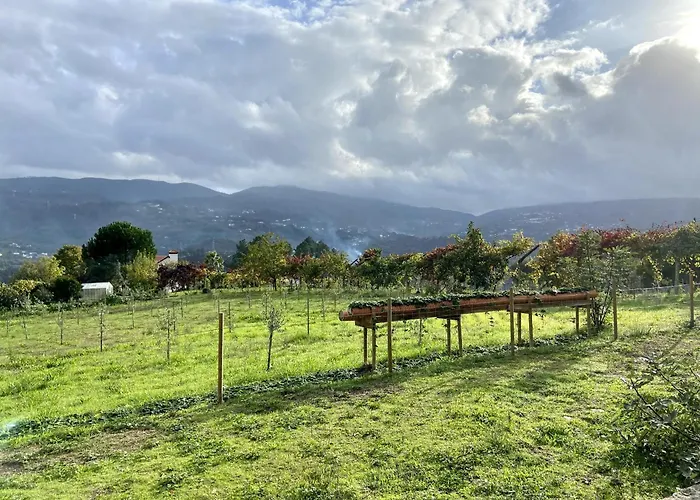 Quinta Do Rio Douro - Pacos de Gaiolo