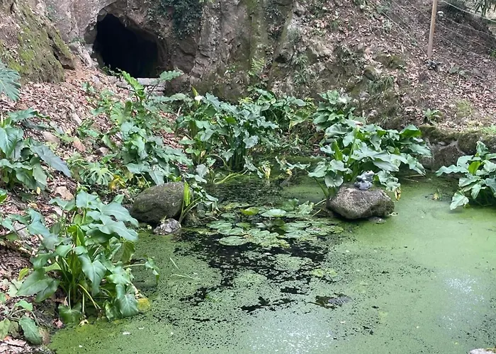 Quinta Do Rio Douro - 펜션 Pacos de Gaiolo