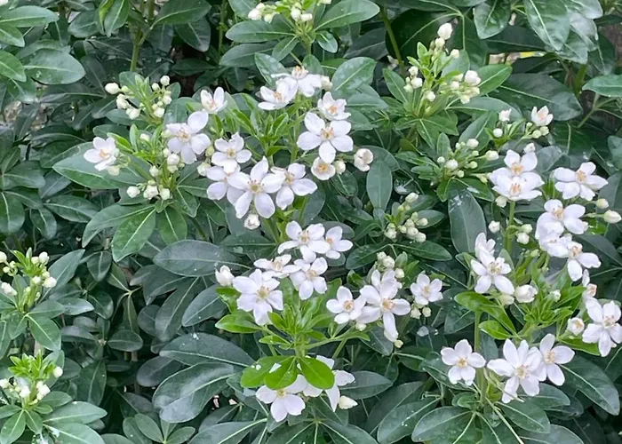 Quinta Do Rio Douro - Pacos de Gaiolo